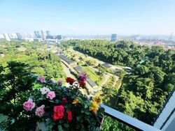 Normanton Park (D5), Apartment #620971401